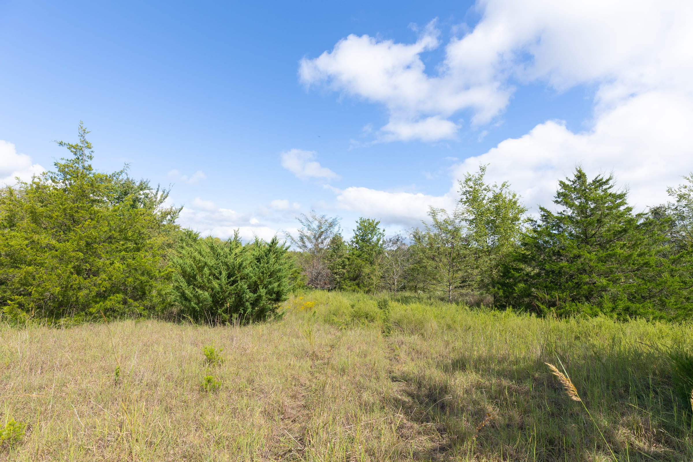 Reserves At Cattail Cove Phase II Tract 88 photo 3