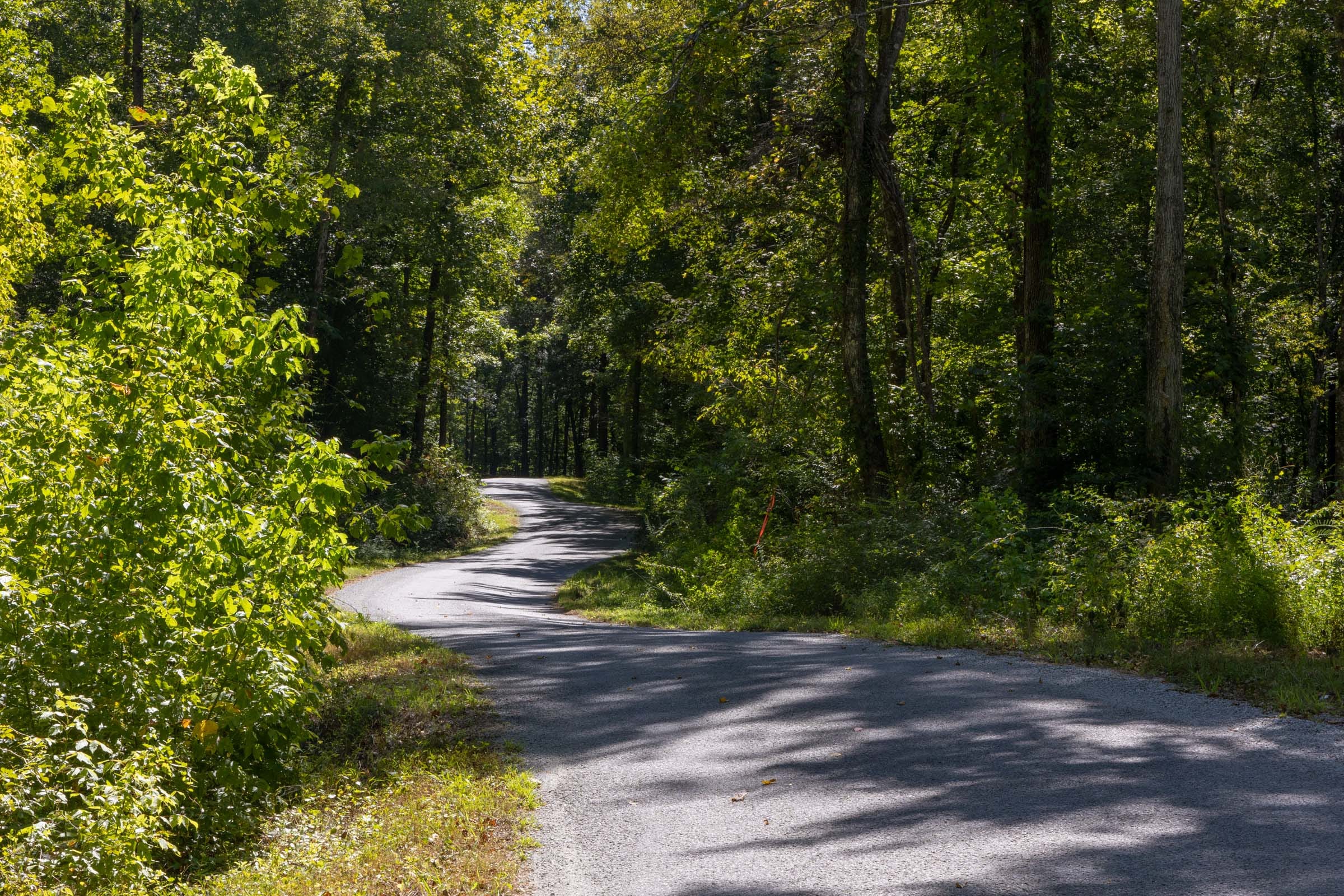 Big White Oak Tract 20 photo 11