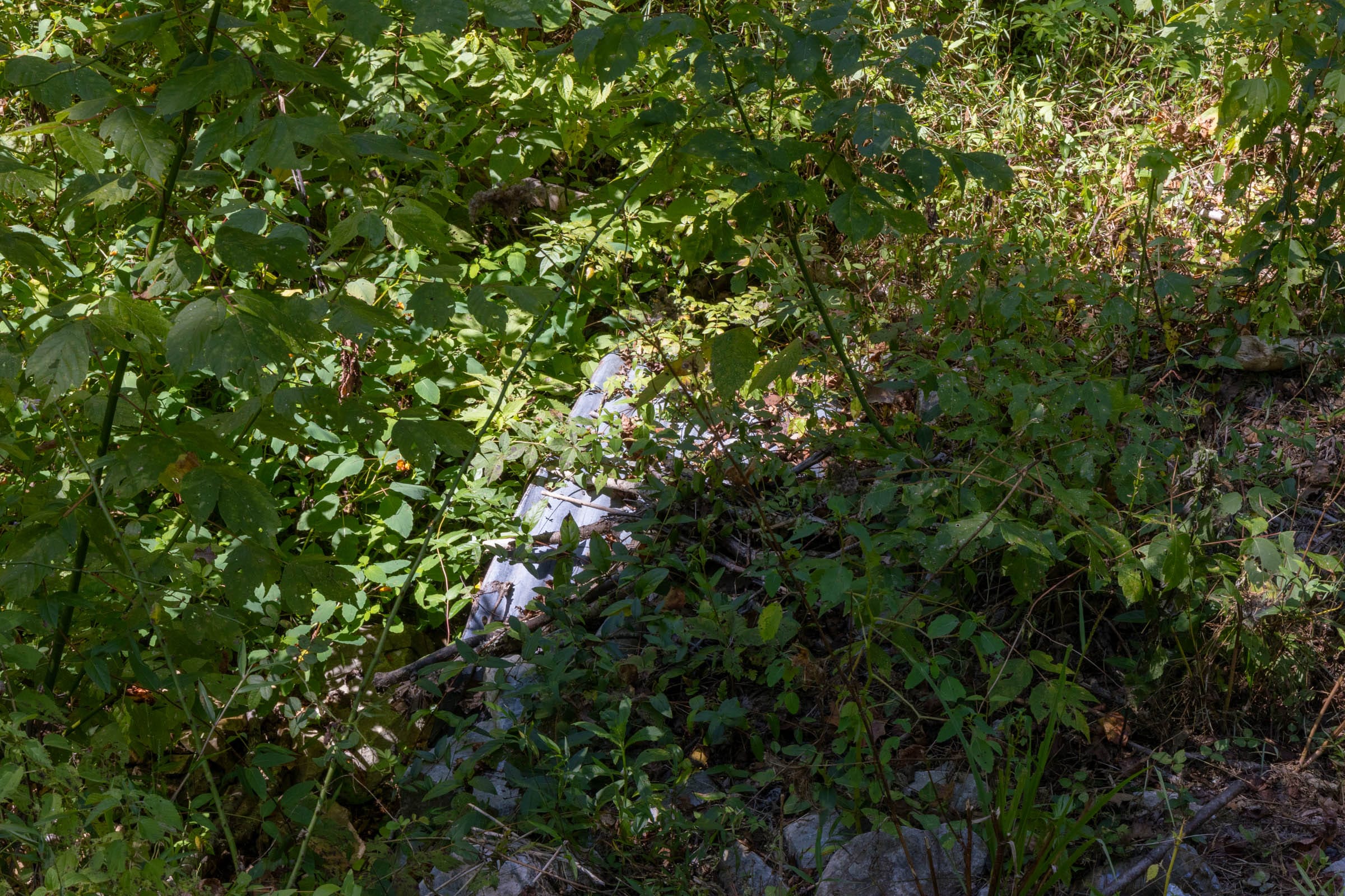 Big White Oak Tract 20 photo 4