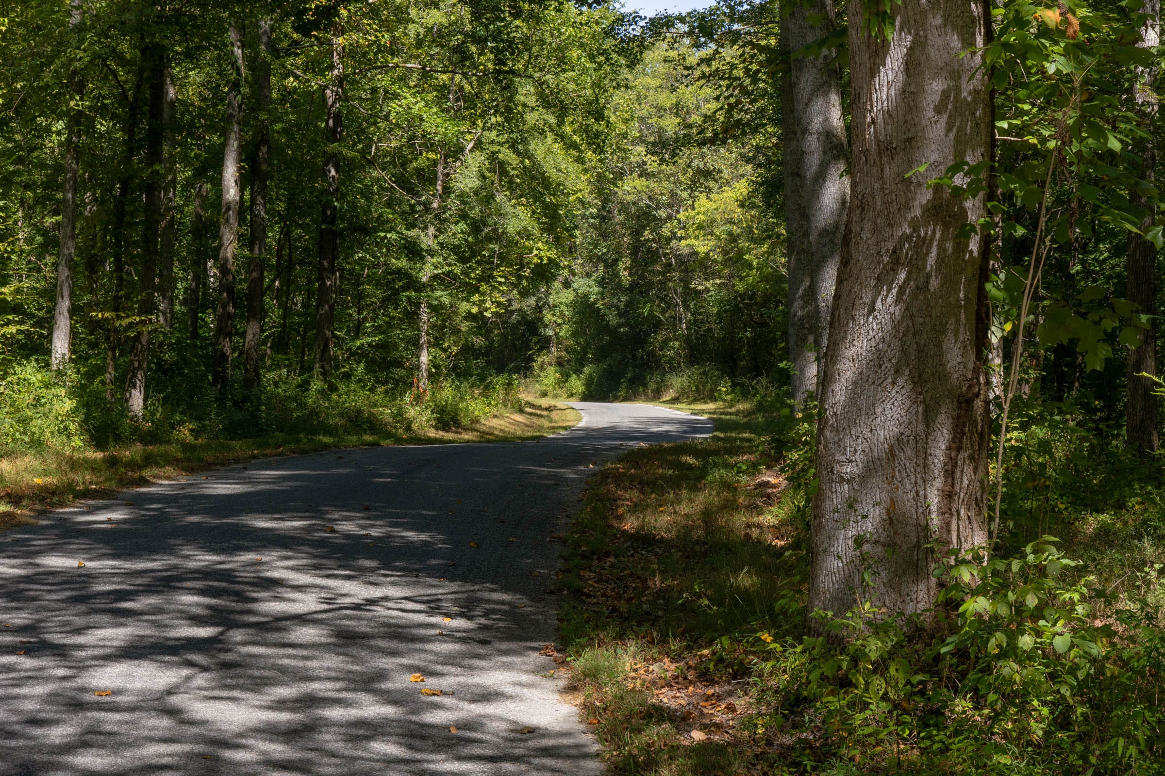 Big White Oak Tract 20 photo 1