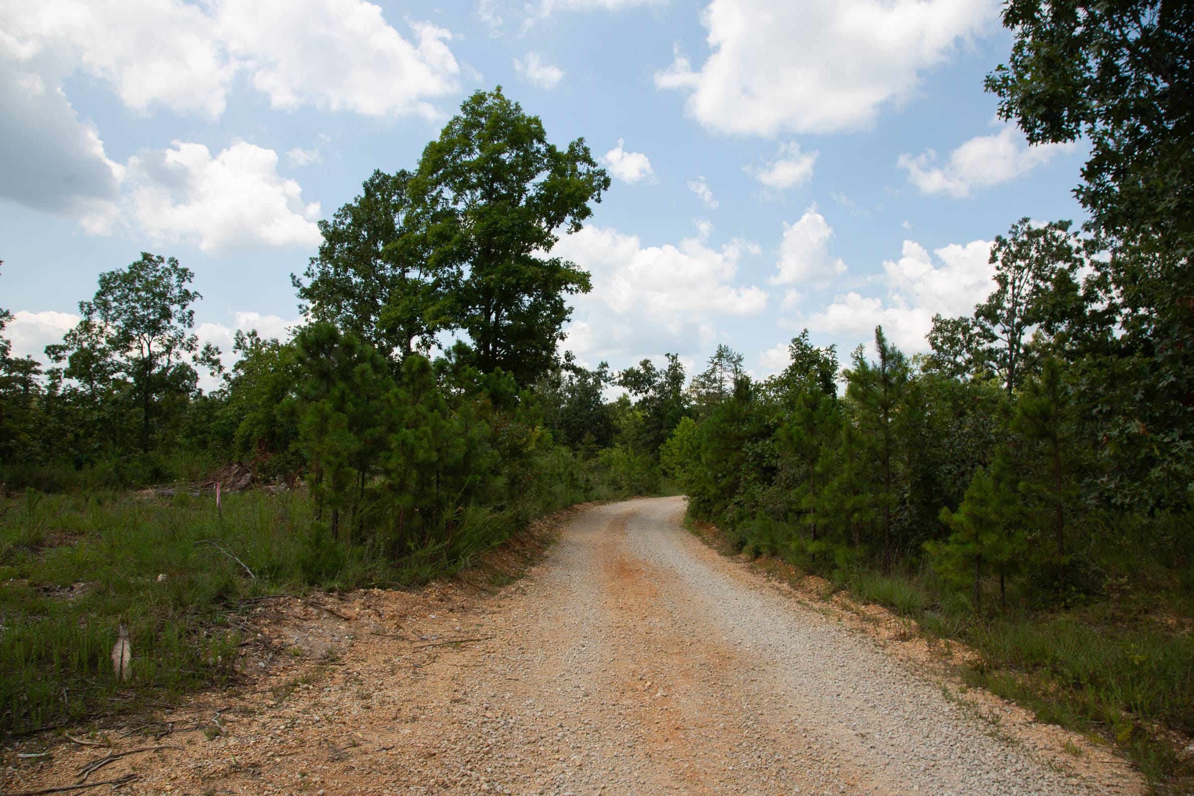 Borgmann’s Hollow Phase I Tract 9 photo 1