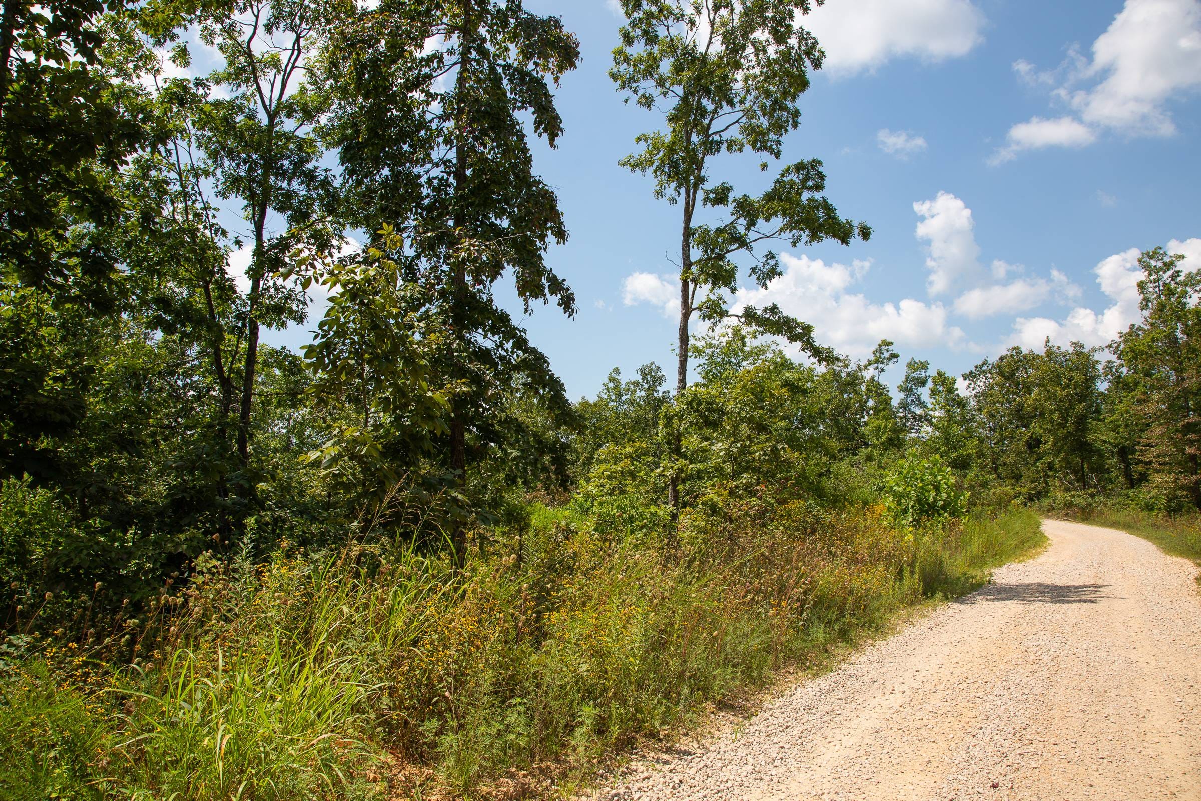 Borgmann’s Hollow Phase I Tract 9 photo 7