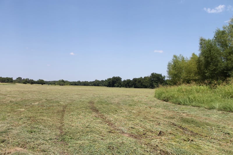 McCoy Creek Ranch Tract 10 photo 3
