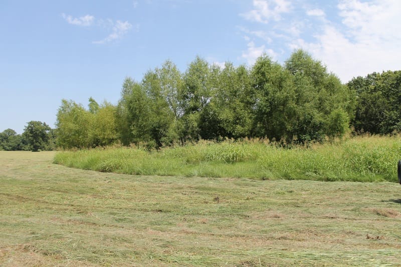 McCoy Creek Ranch Tract 10 photo 4
