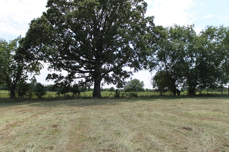 McCoy Creek Ranch Tract 10 photo 5