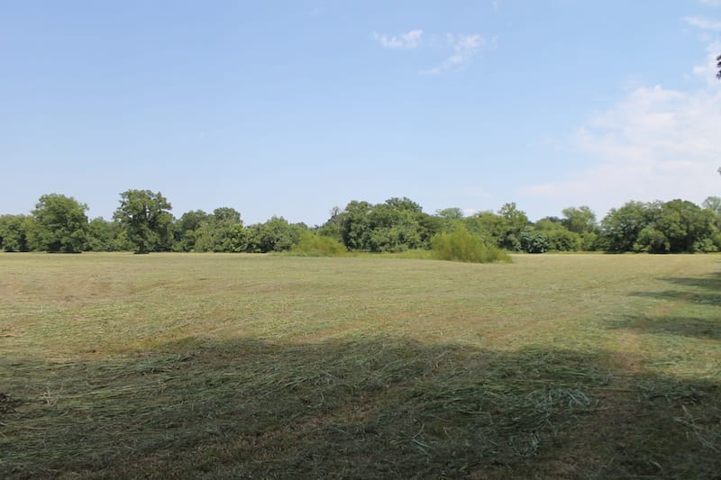 McCoy Creek Ranch Tract 10 photo 6