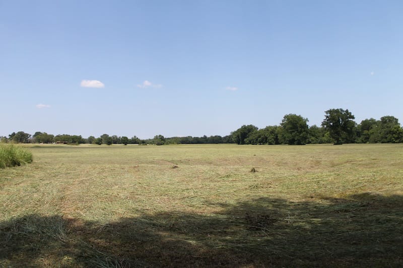 McCoy Creek Ranch Tract 10 photo 7