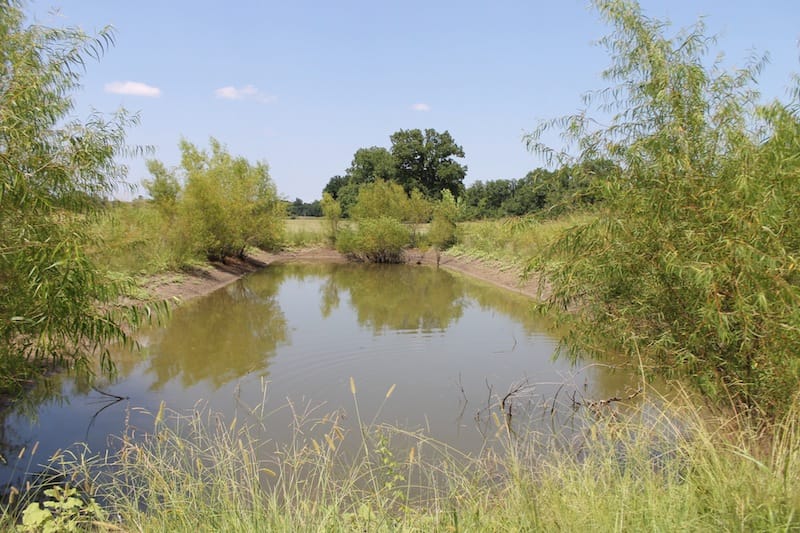 McCoy Creek Ranch Tract 10 photo 8