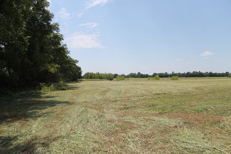 McCoy Creek Ranch Tract 10 photo 9
