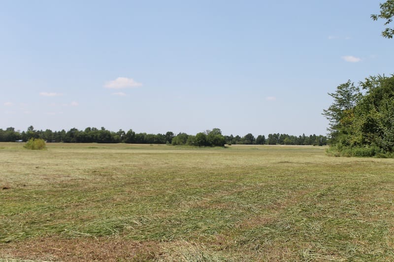 McCoy Creek Ranch Tract 10 photo 10