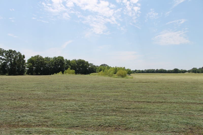 McCoy Creek Ranch Tract 10 photo 11