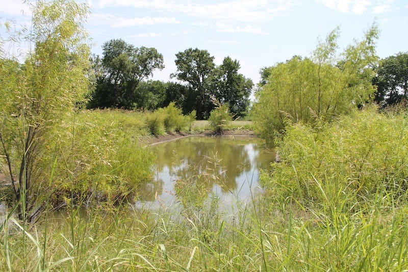 McCoy Creek Ranch Tract 10 photo 12