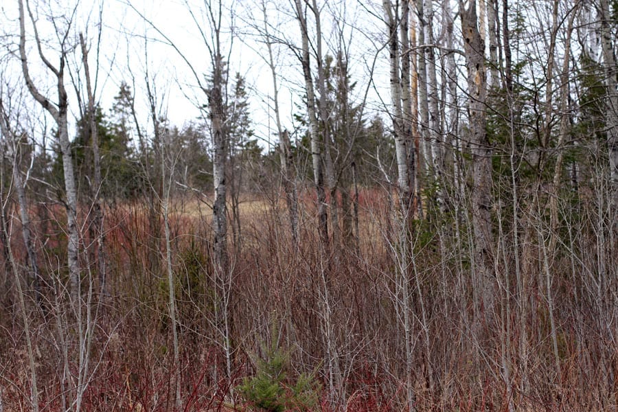 Sunrise Estates Tract 7 photo 2