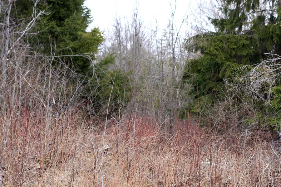Sunrise Estates Tract 7 photo 3