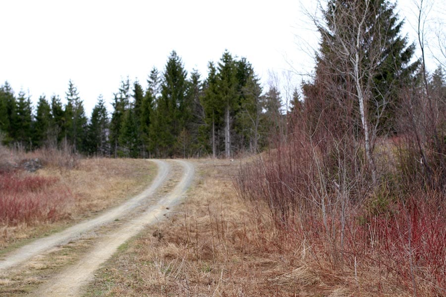 Sunrise Estates Tract 7 photo 5
