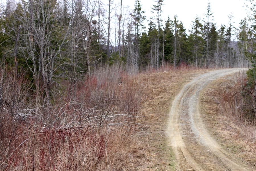 Sunrise Estates Tract 7 photo 6