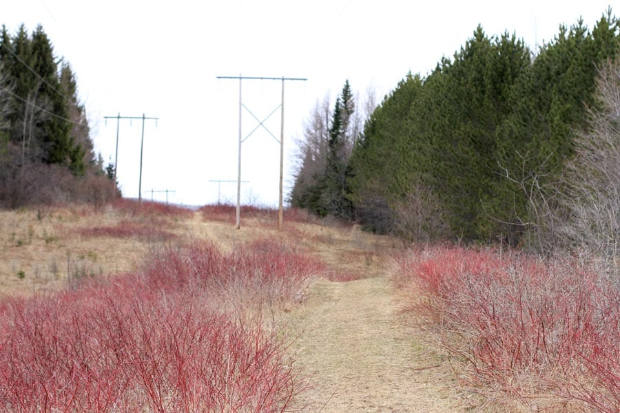 Sunrise Estates Tract 7 photo 9