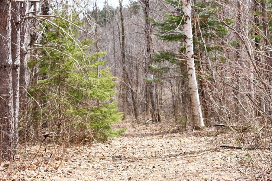 Sunrise Estates Tract 7 photo 10