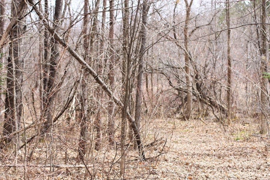 Sunrise Estates Tract 7 photo 11
