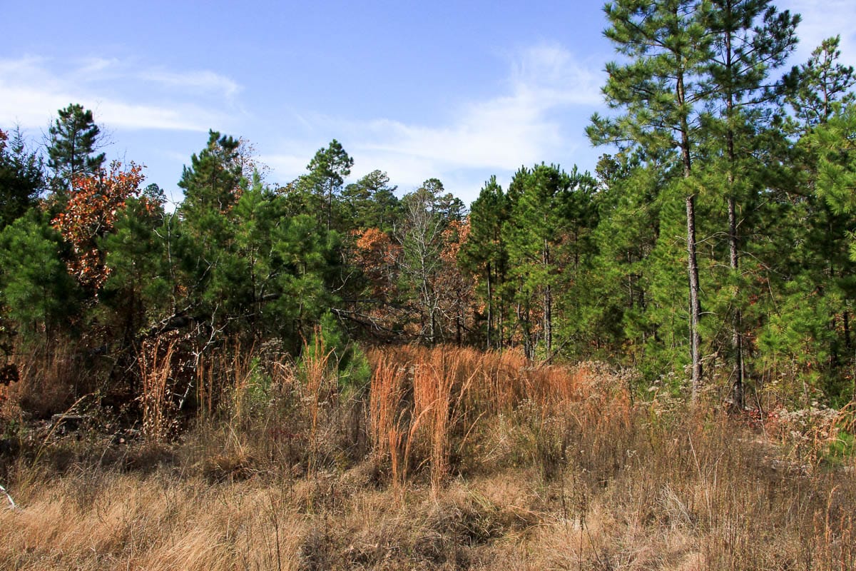 Stone Creek Phase III Tract 34 photo 4