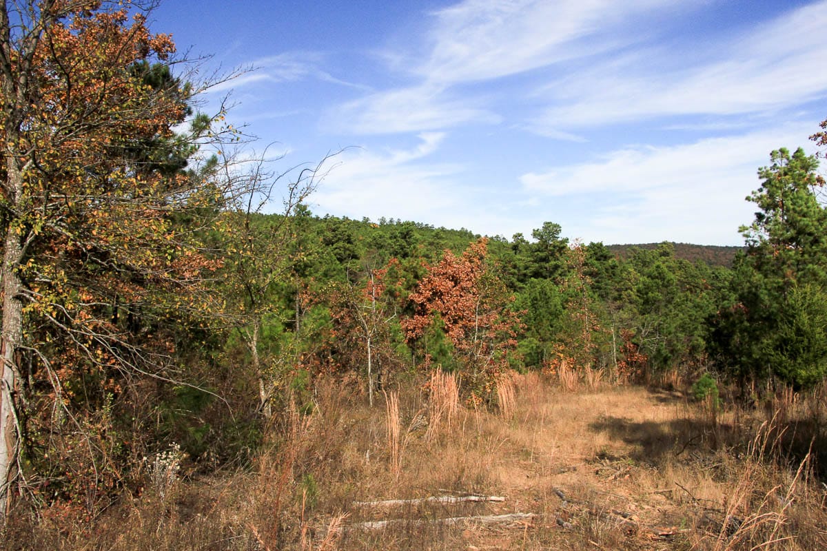 Stone Creek Phase III Tract 34 photo 2