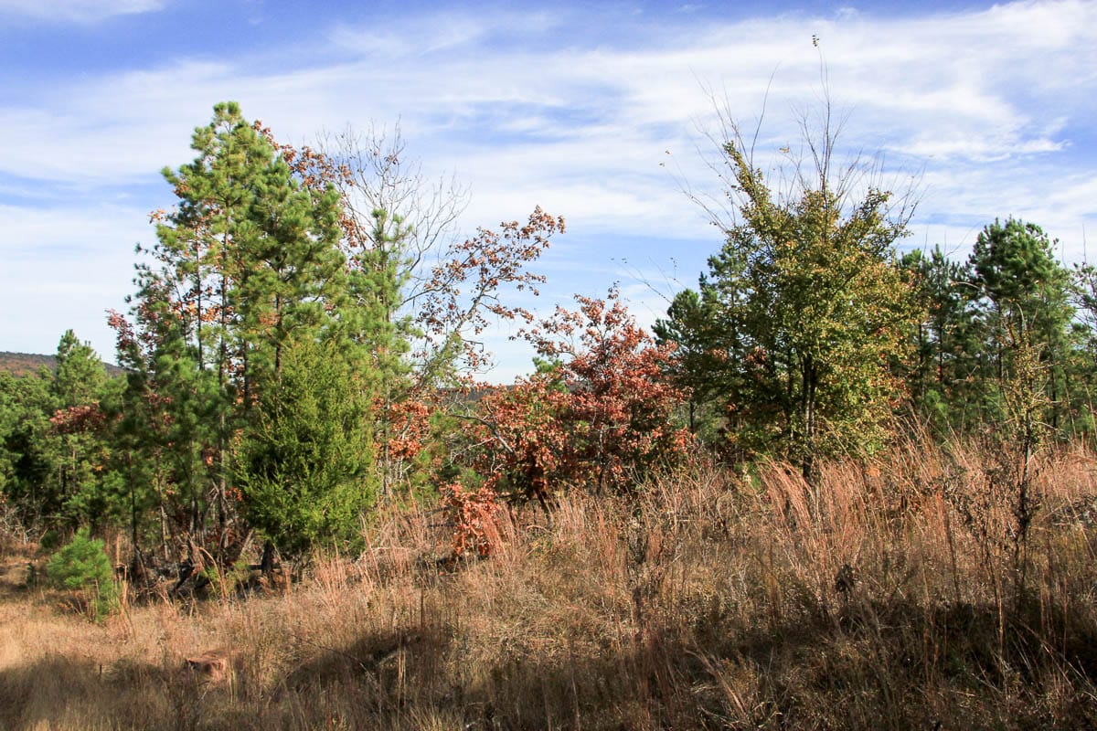 Stone Creek Phase III Tract 34 photo 5