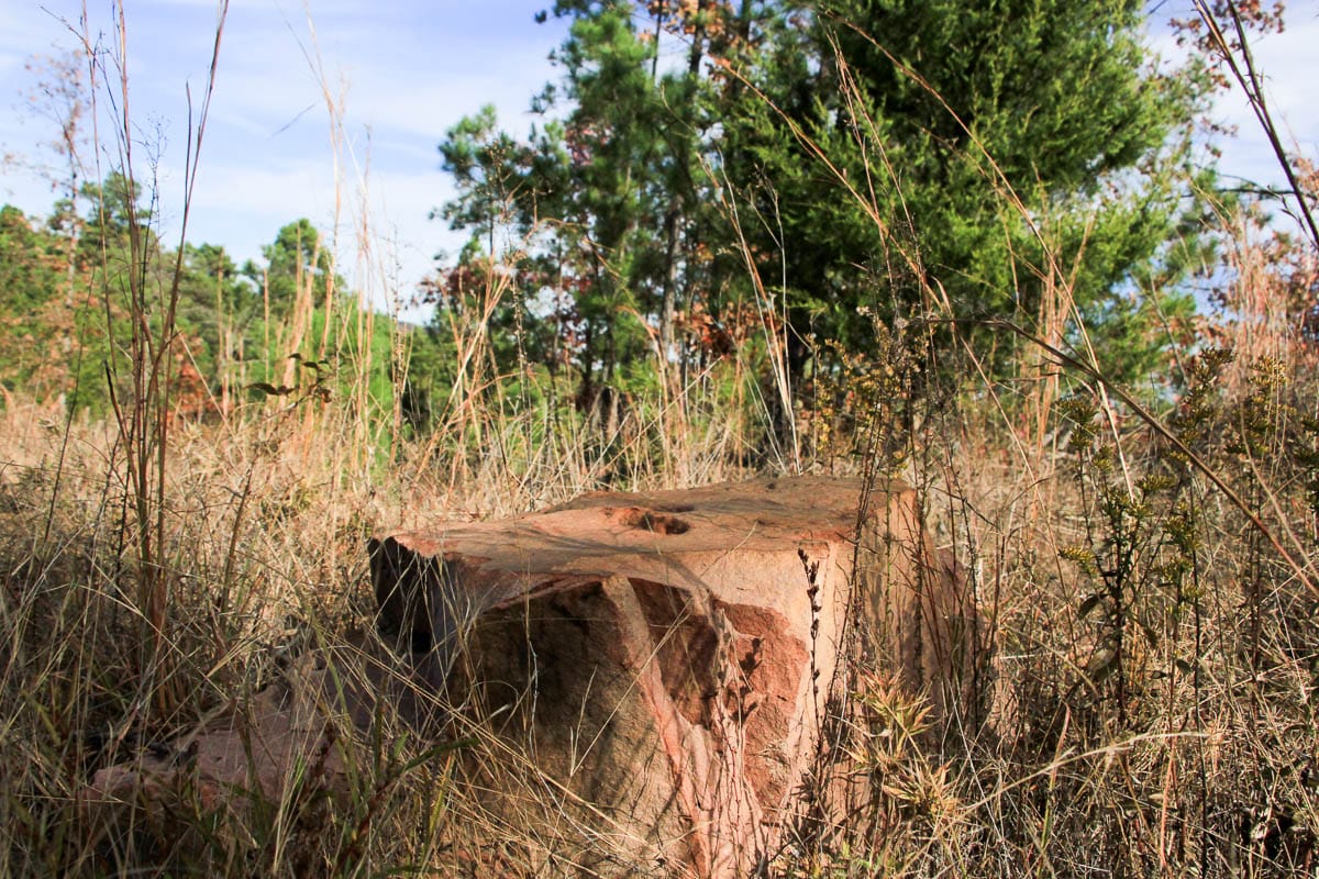 Stone Creek Phase III Tract 34 photo 6
