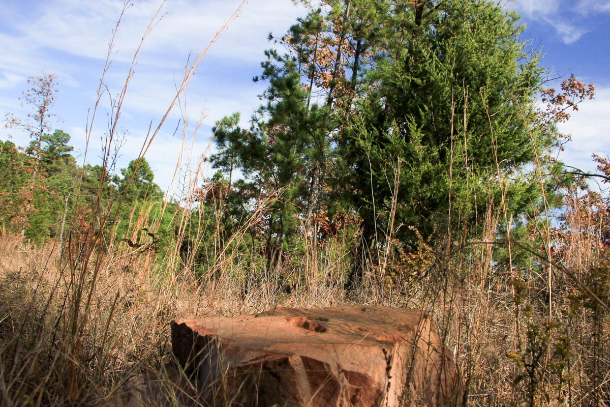 Stone Creek Phase III Tract 34 photo 7