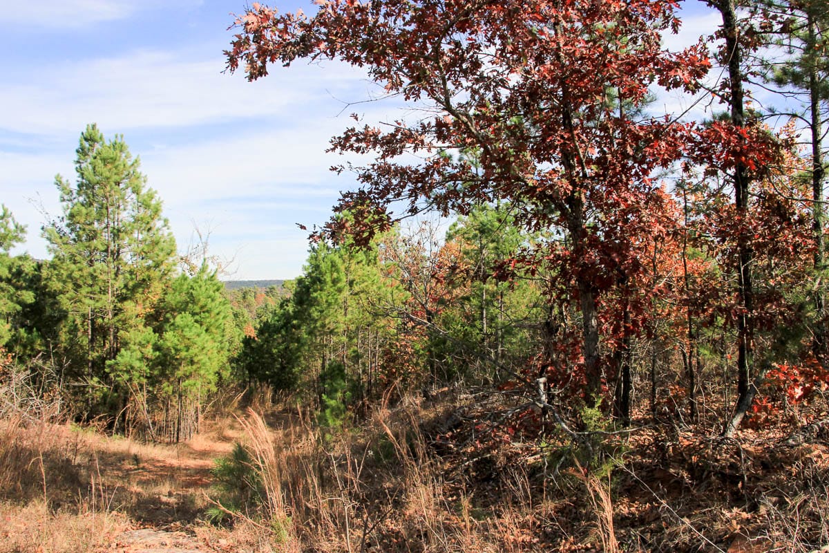 Stone Creek Phase III Tract 34 photo 9