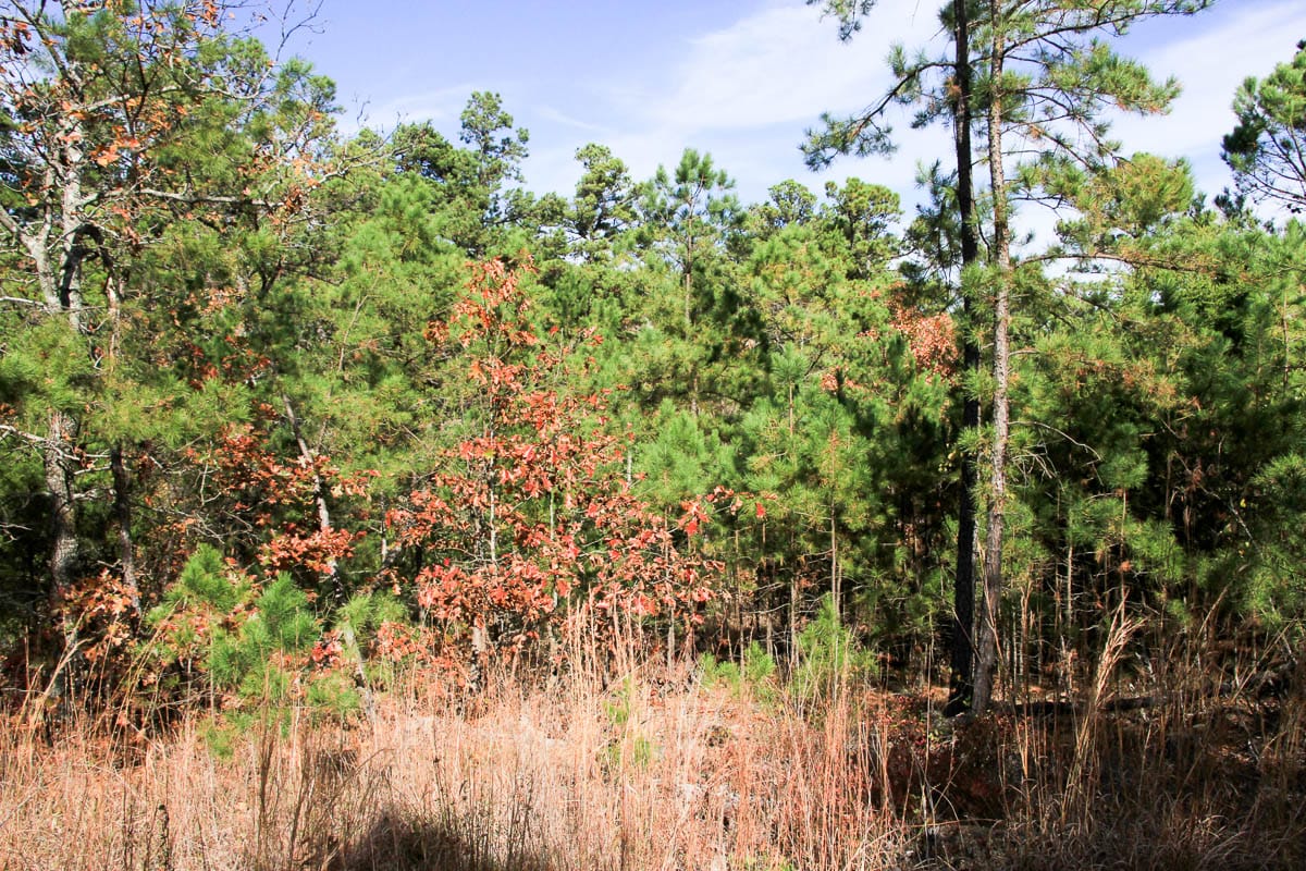 Stone Creek Phase III Tract 34 photo 11