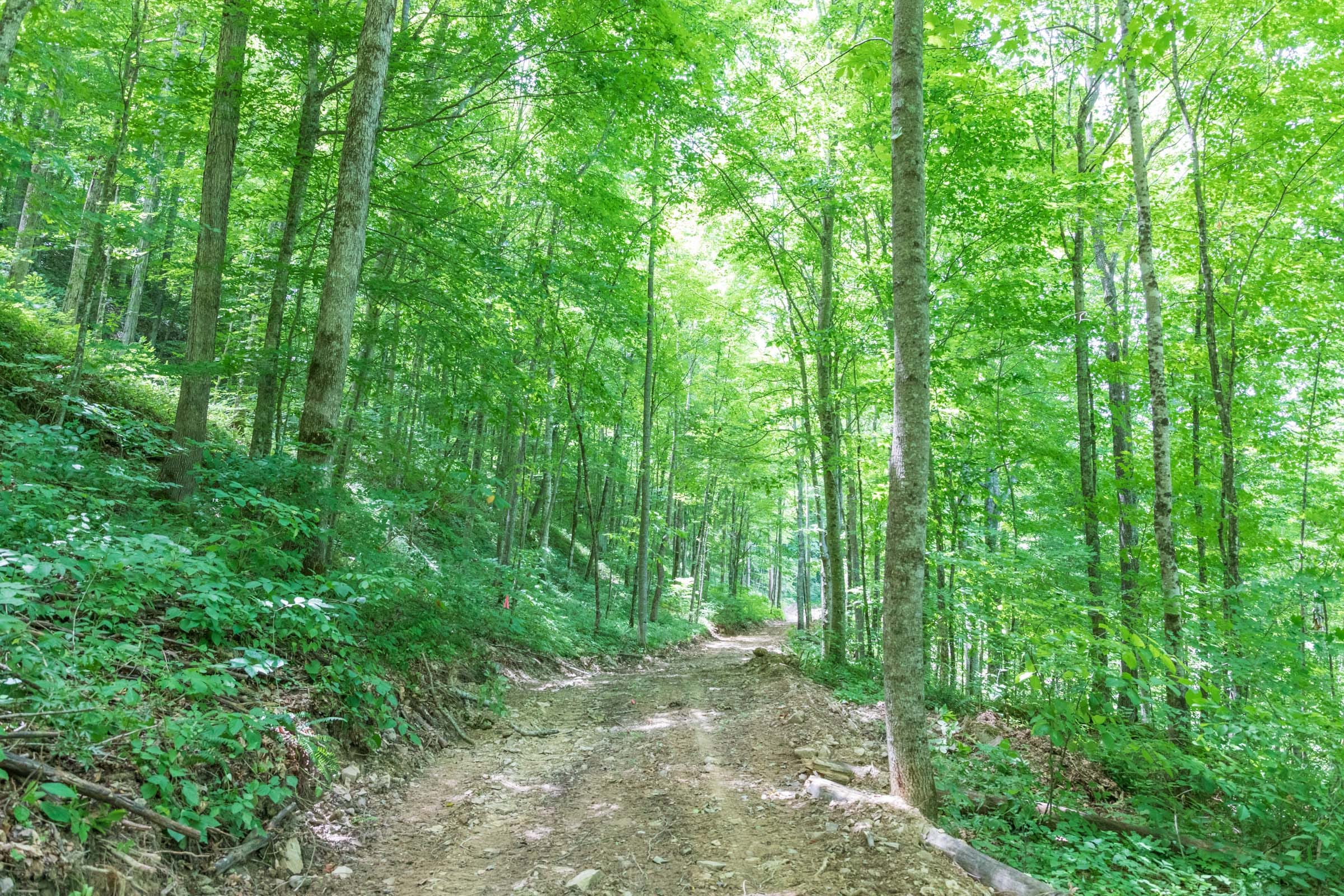 River’s Edge Tract 23 photo 1