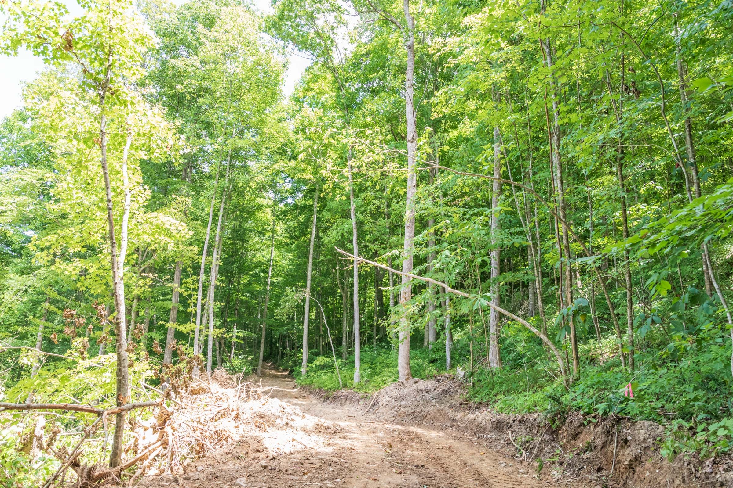 River’s Edge Tract 23 photo 7