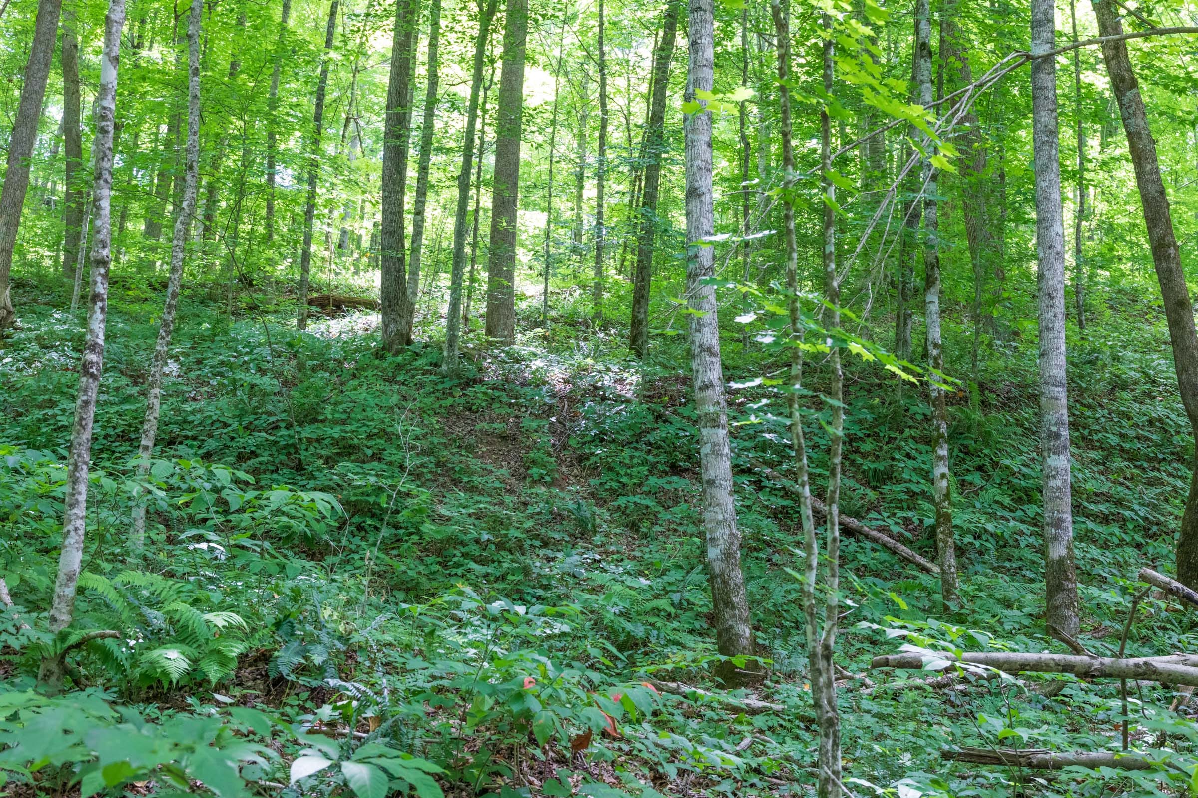 River’s Edge Tract 23 photo 14
