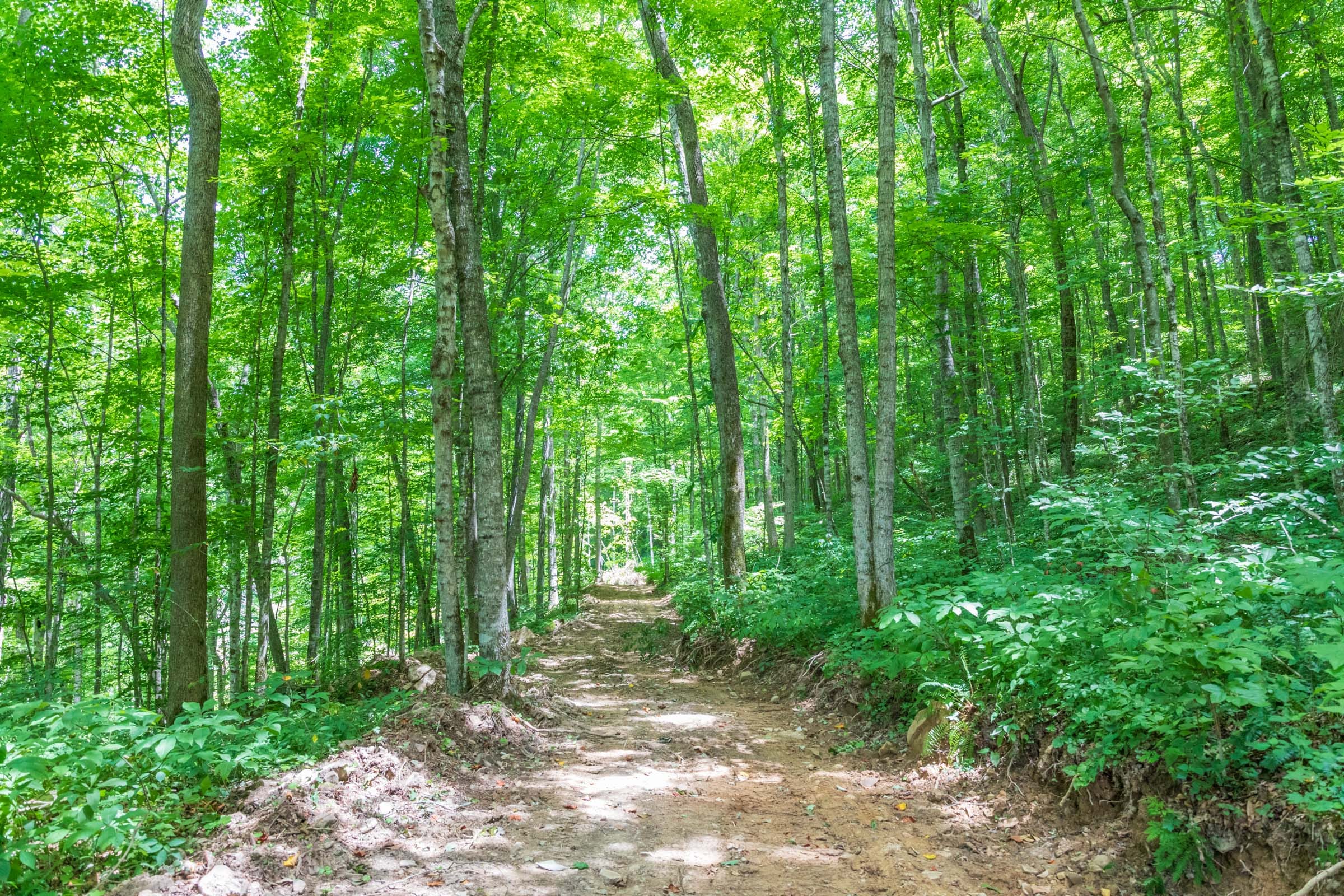River’s Edge Tract 23 photo 13