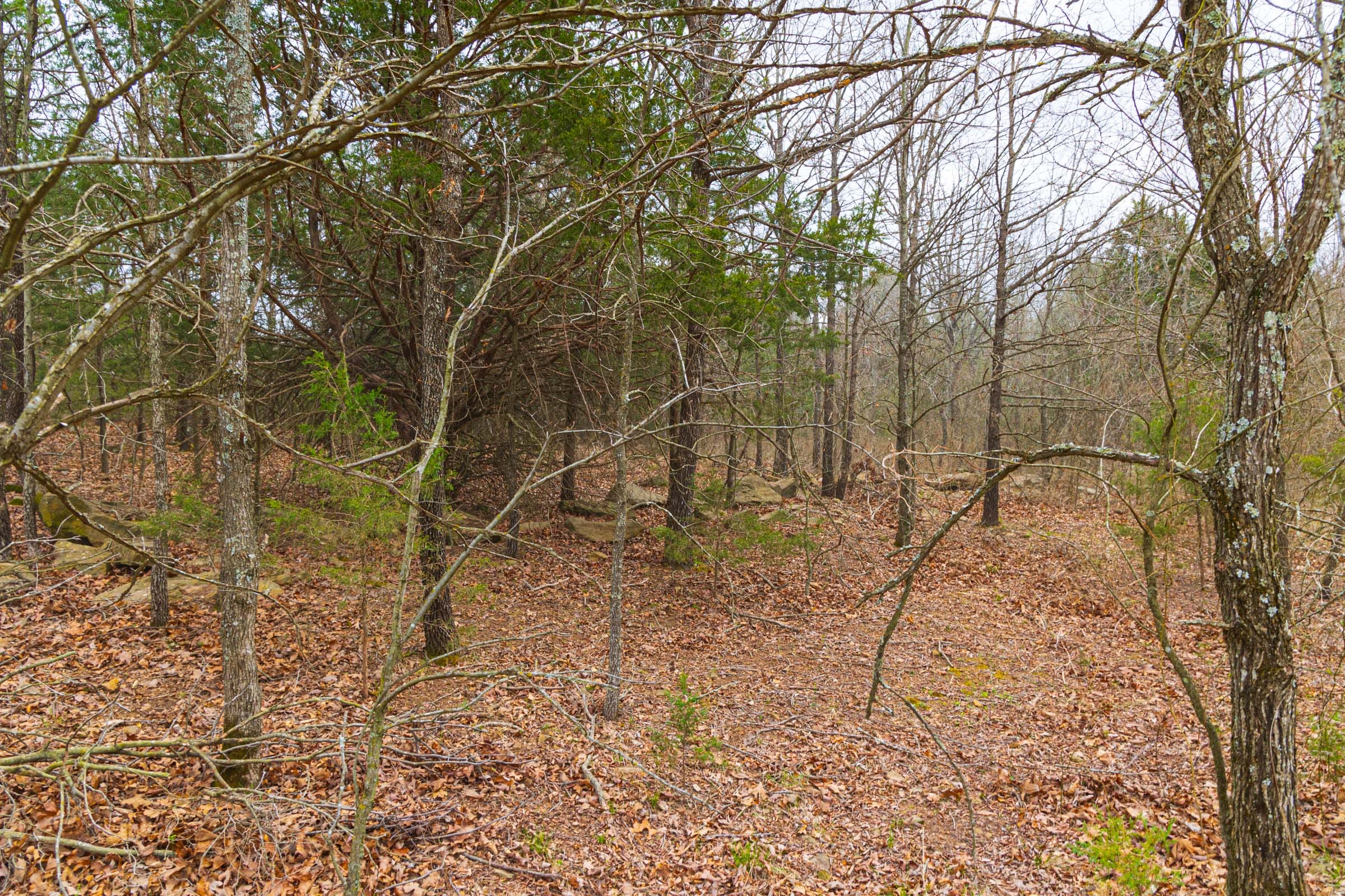 Reserves At Cattail Cove Phase I Tract 14 photo 13
