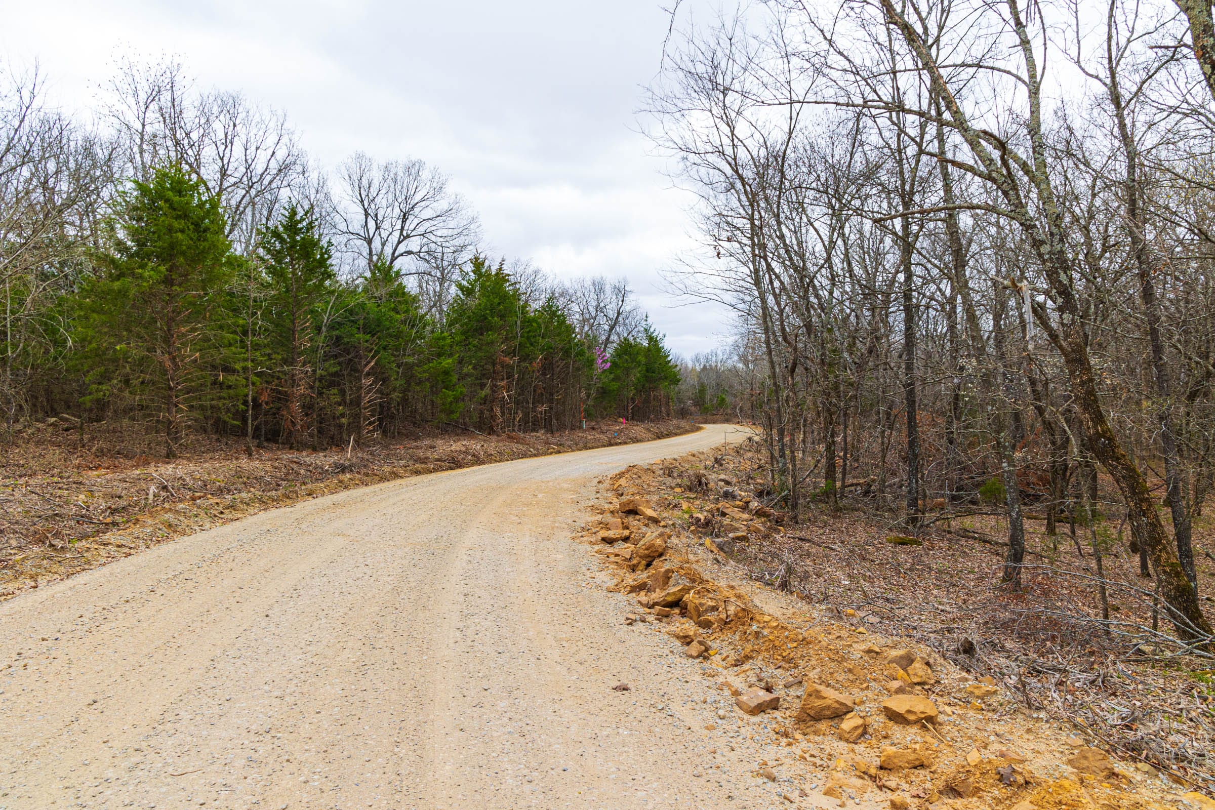 Reserves At Cattail Cove Phase I Tract 14 photo 1