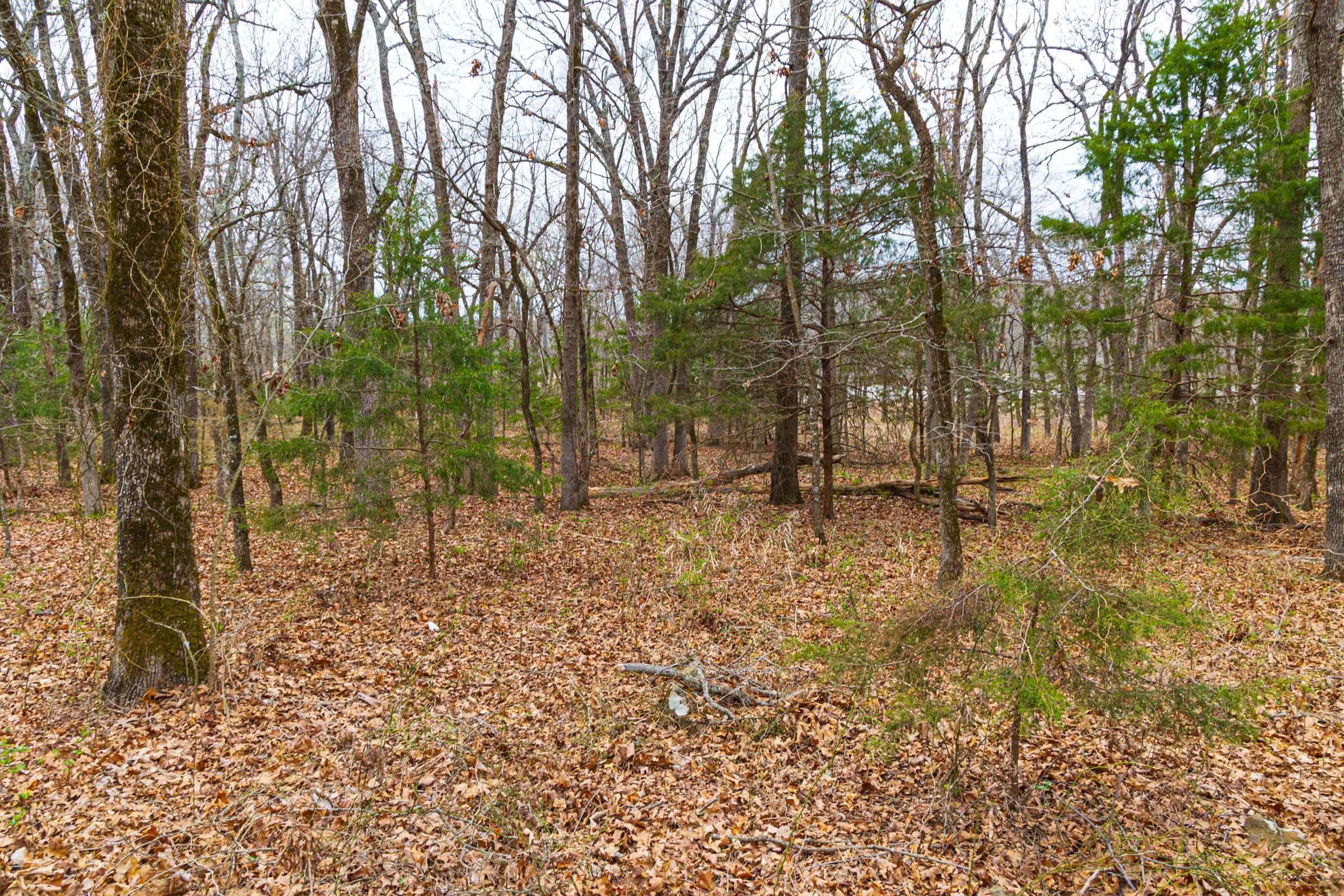 Reserves At Cattail Cove Phase I Tract 14 photo 11