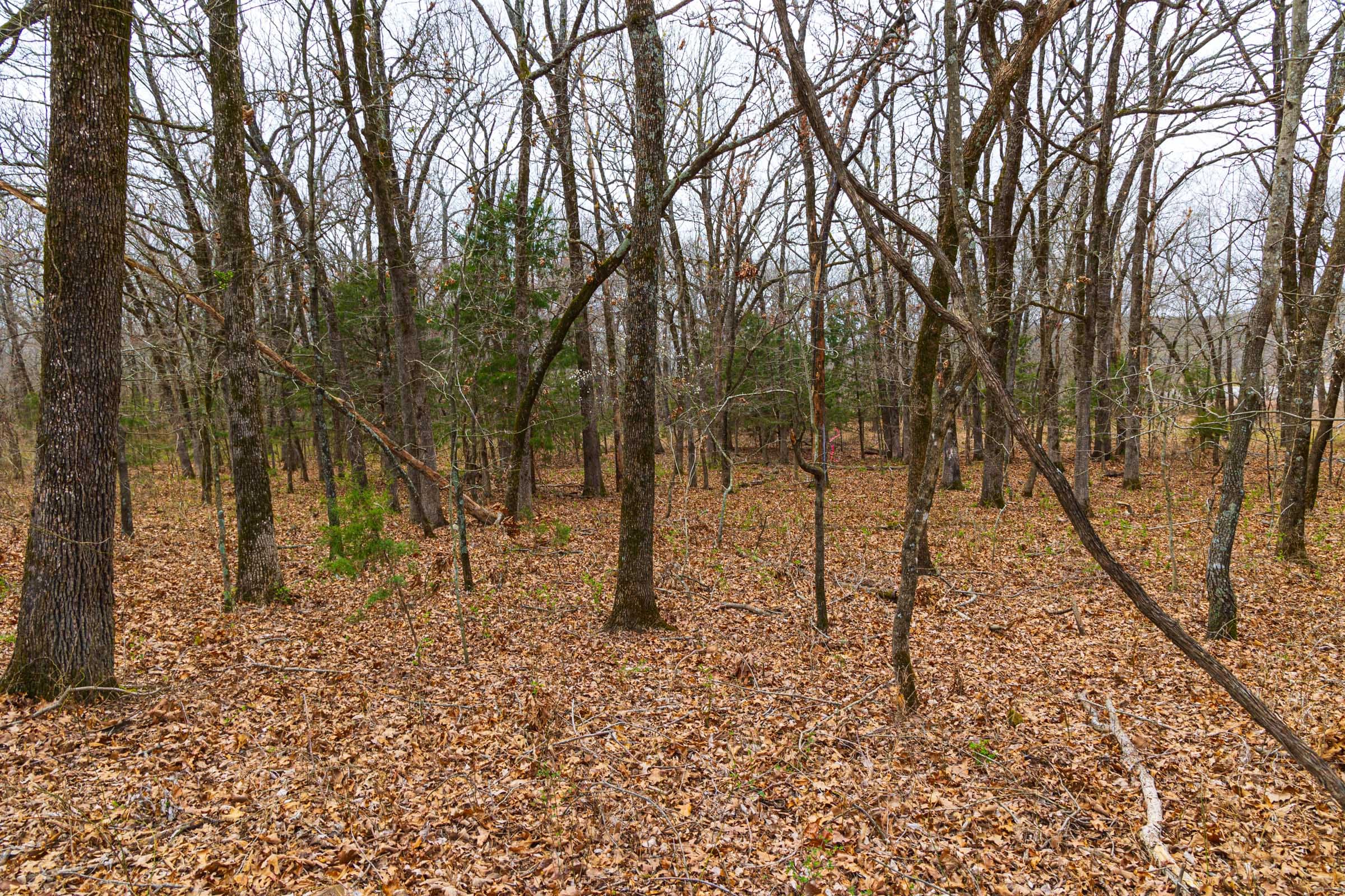 Reserves At Cattail Cove Phase I Tract 14 photo 7
