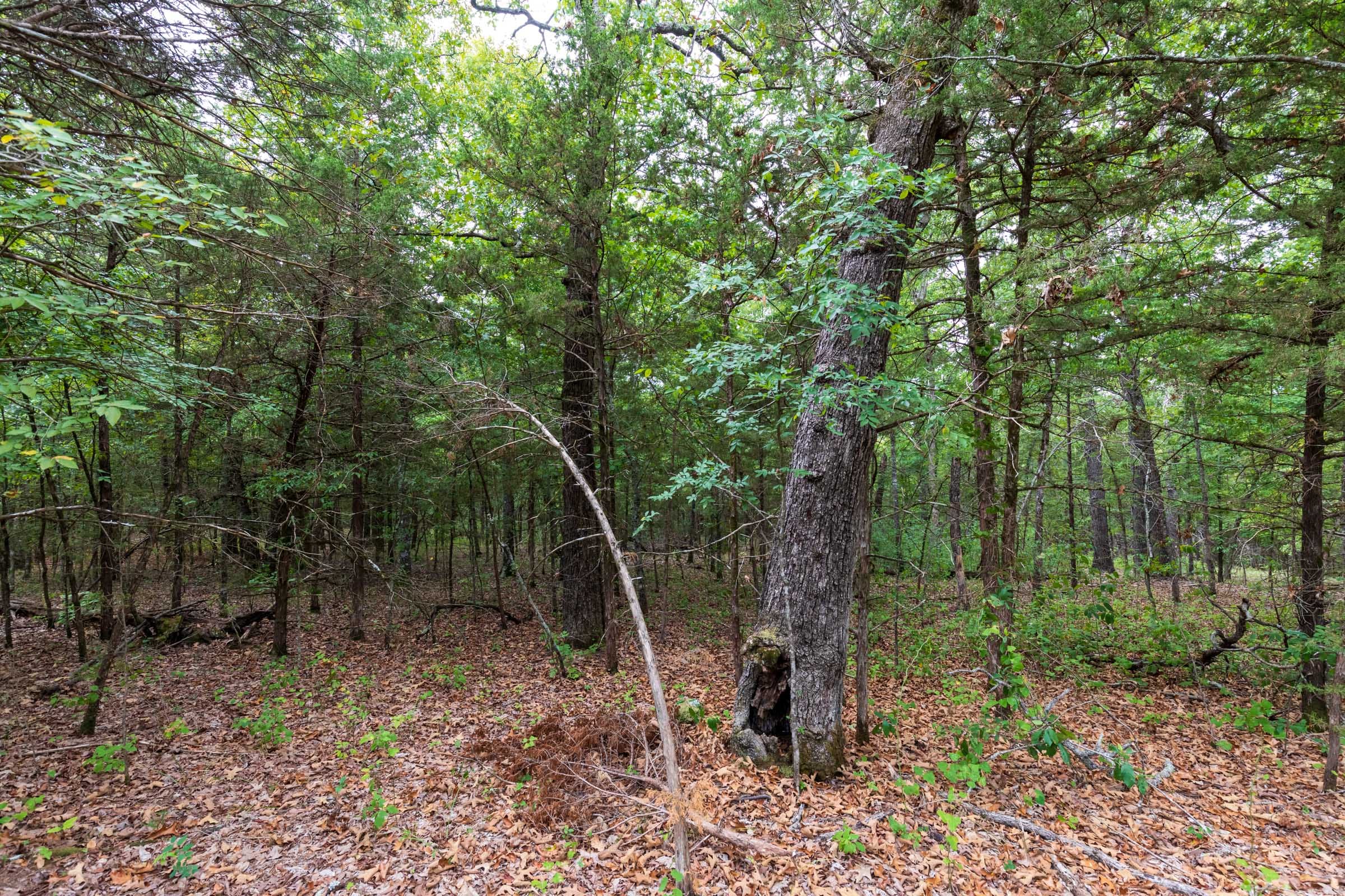 Heritage Bend Tract 46 photo 2