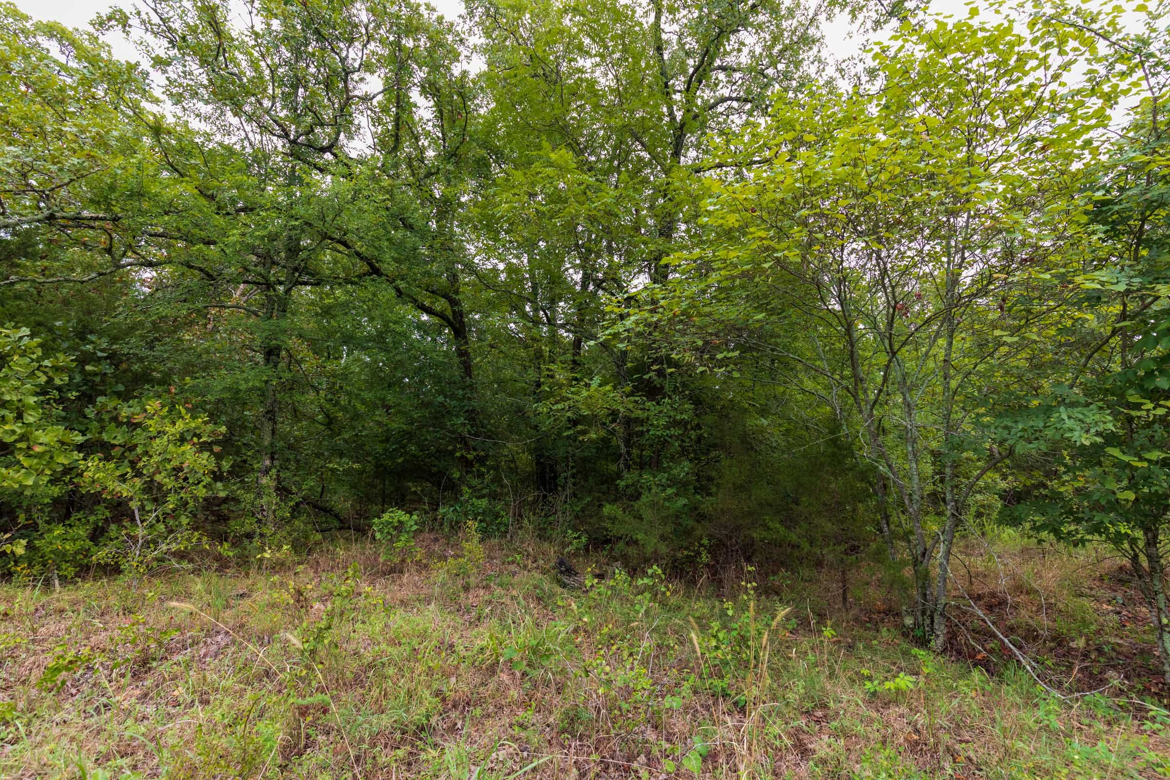 Heritage Bend Tract 46 photo 3