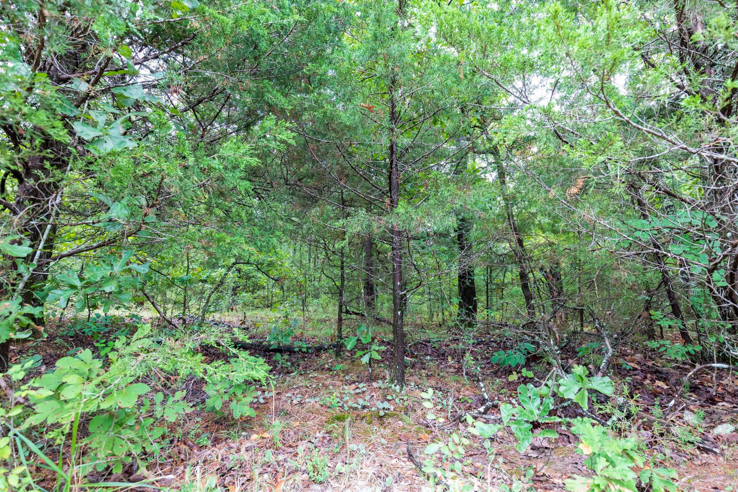 Heritage Bend Tract 46 photo 10