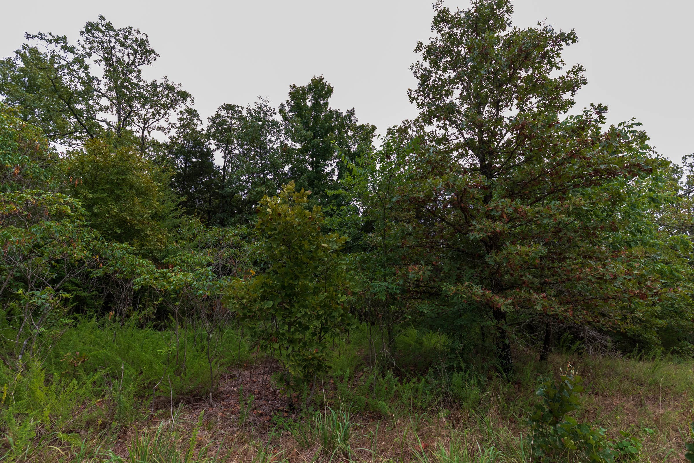 Heritage Bend Tract 46 photo 8