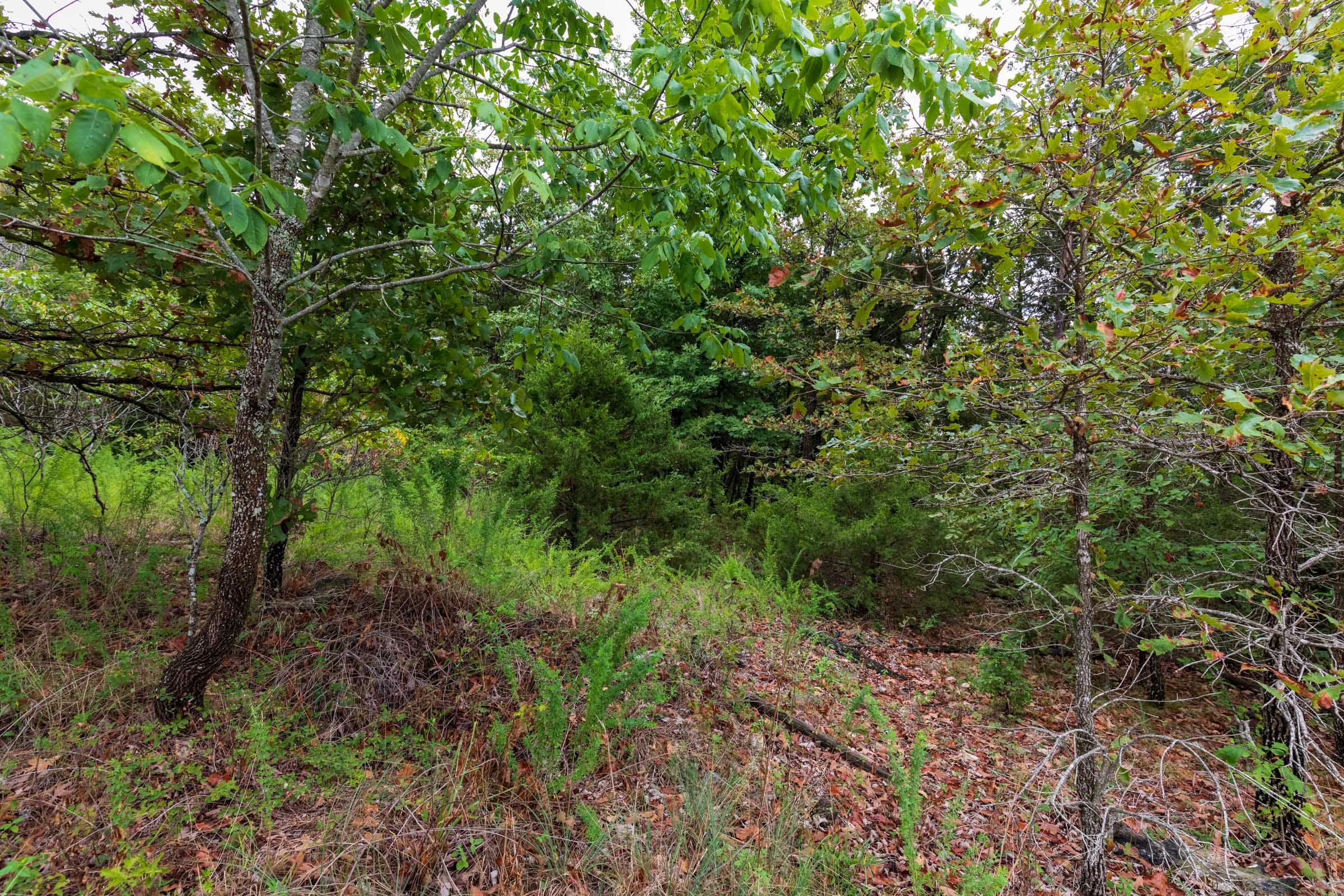 Heritage Bend Tract 46 photo 4