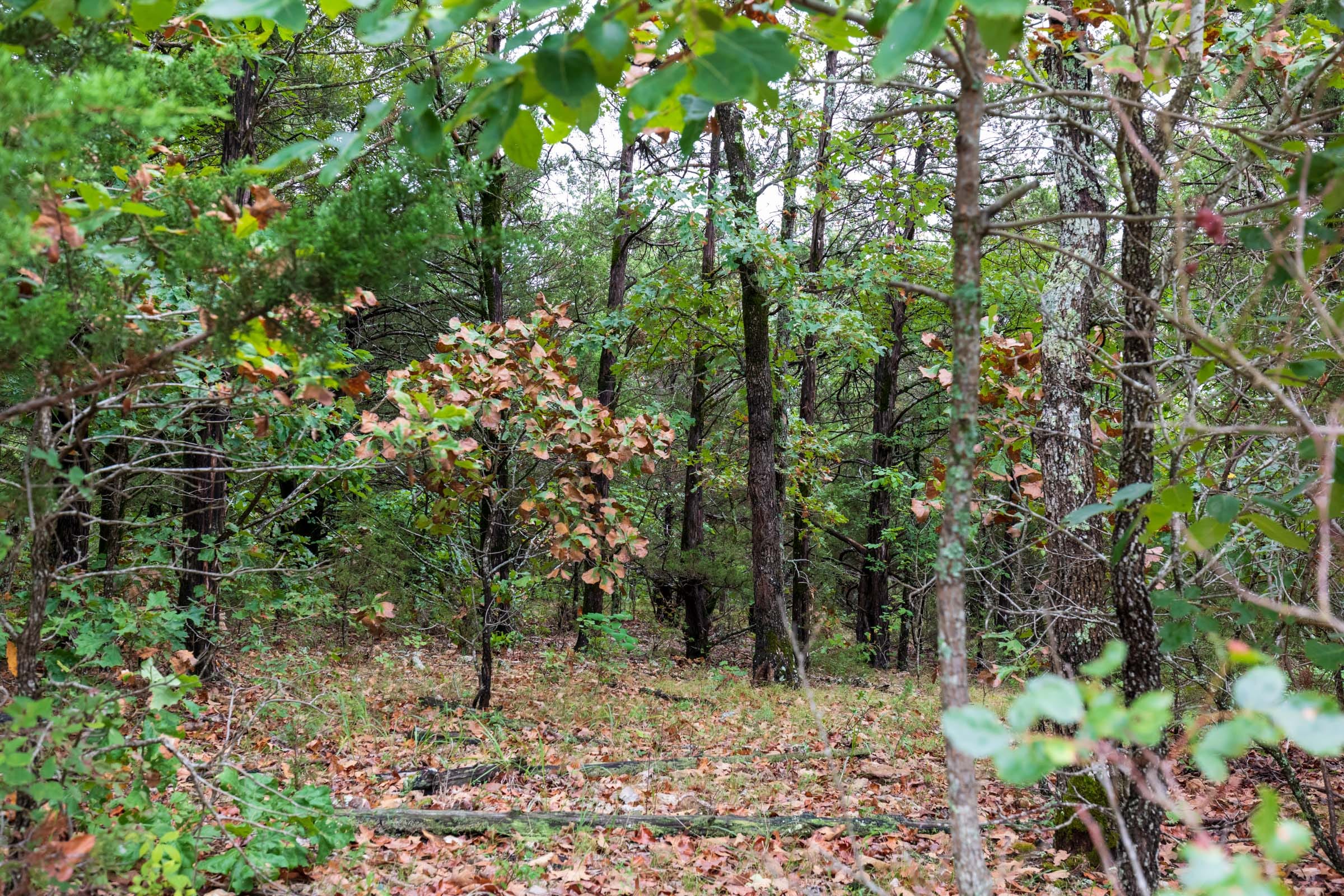 Heritage Bend Tract 46 photo 7