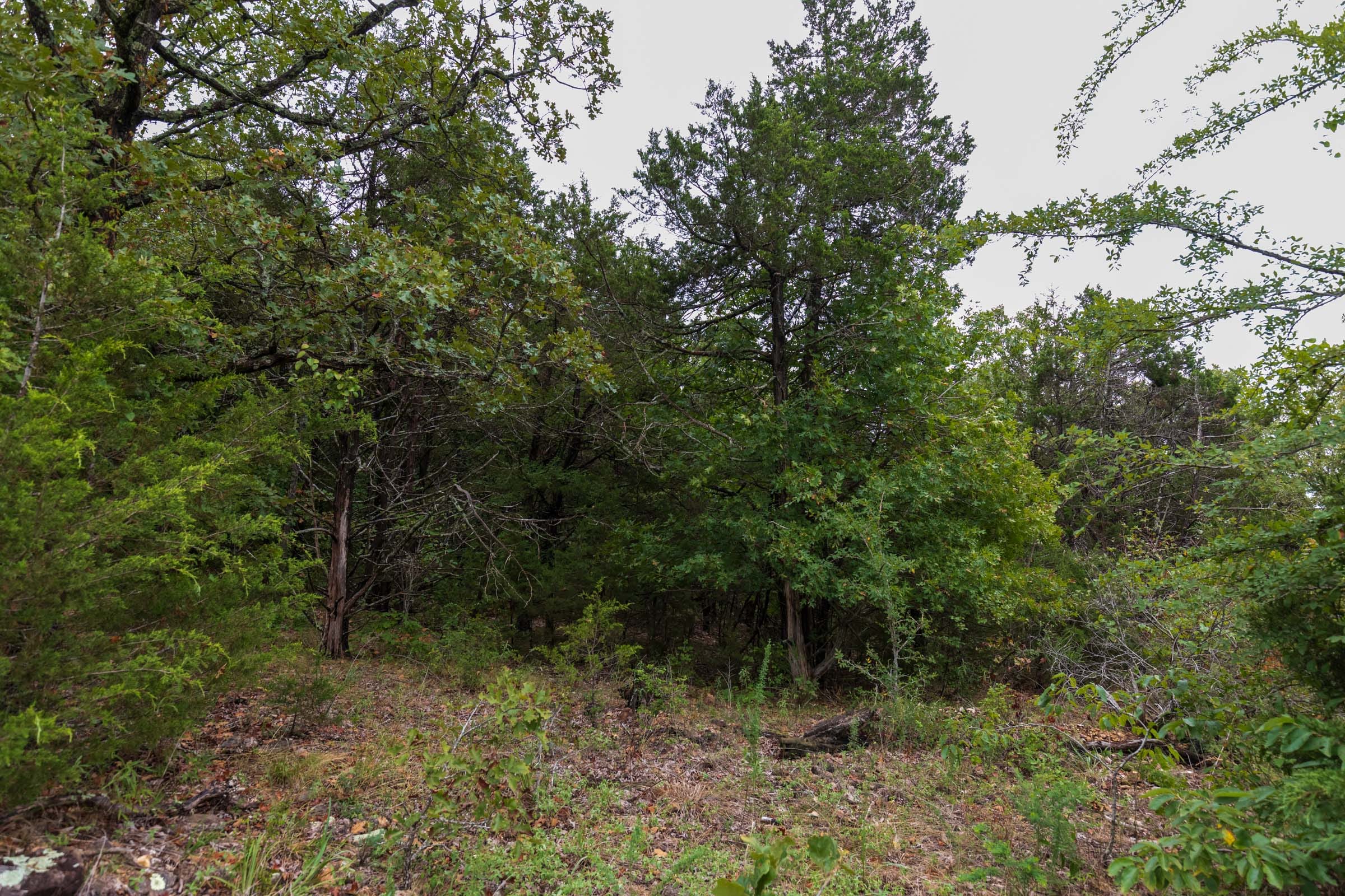 Heritage Bend Tract 46 photo 6