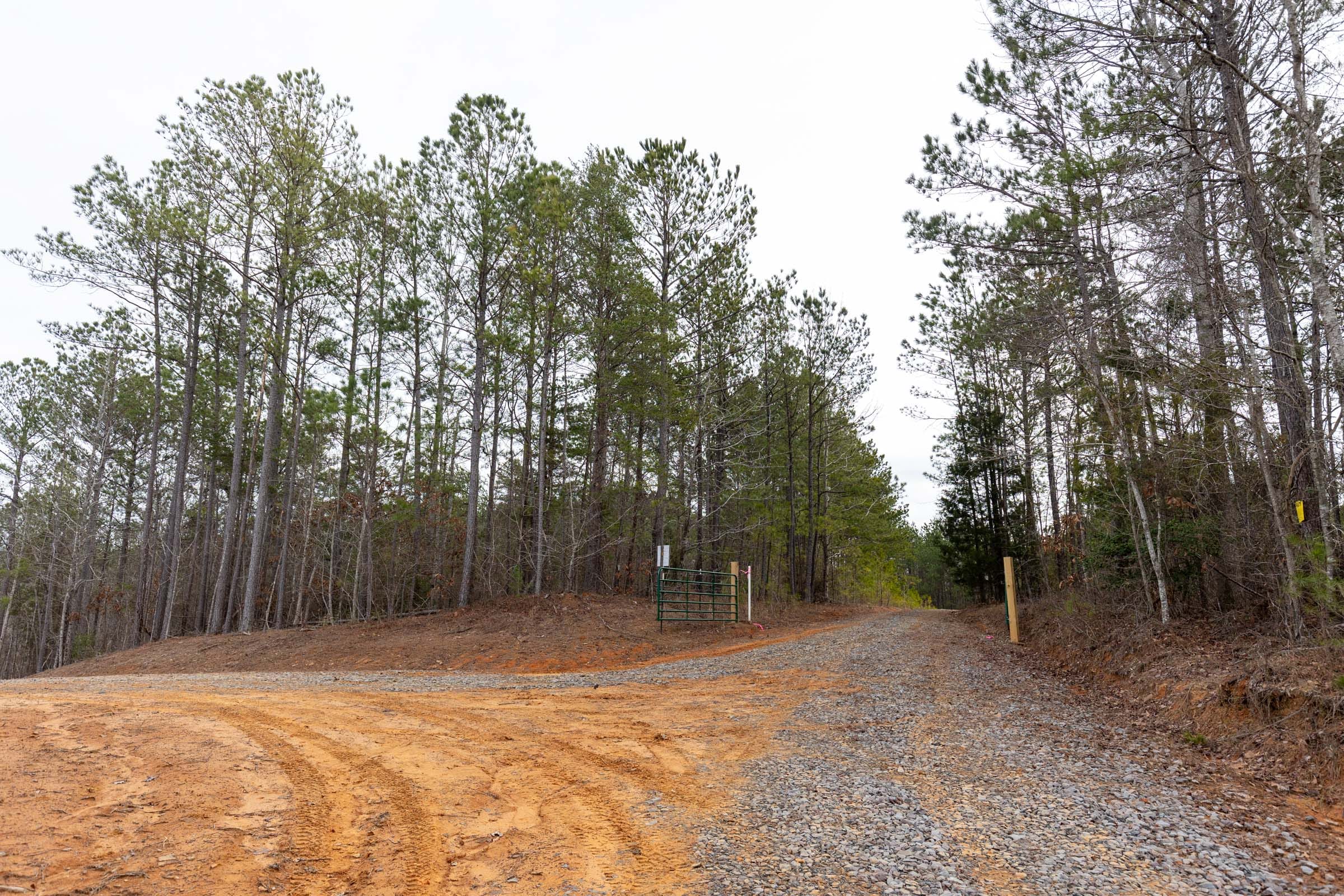 Baker Creek Tract 1 photo 5