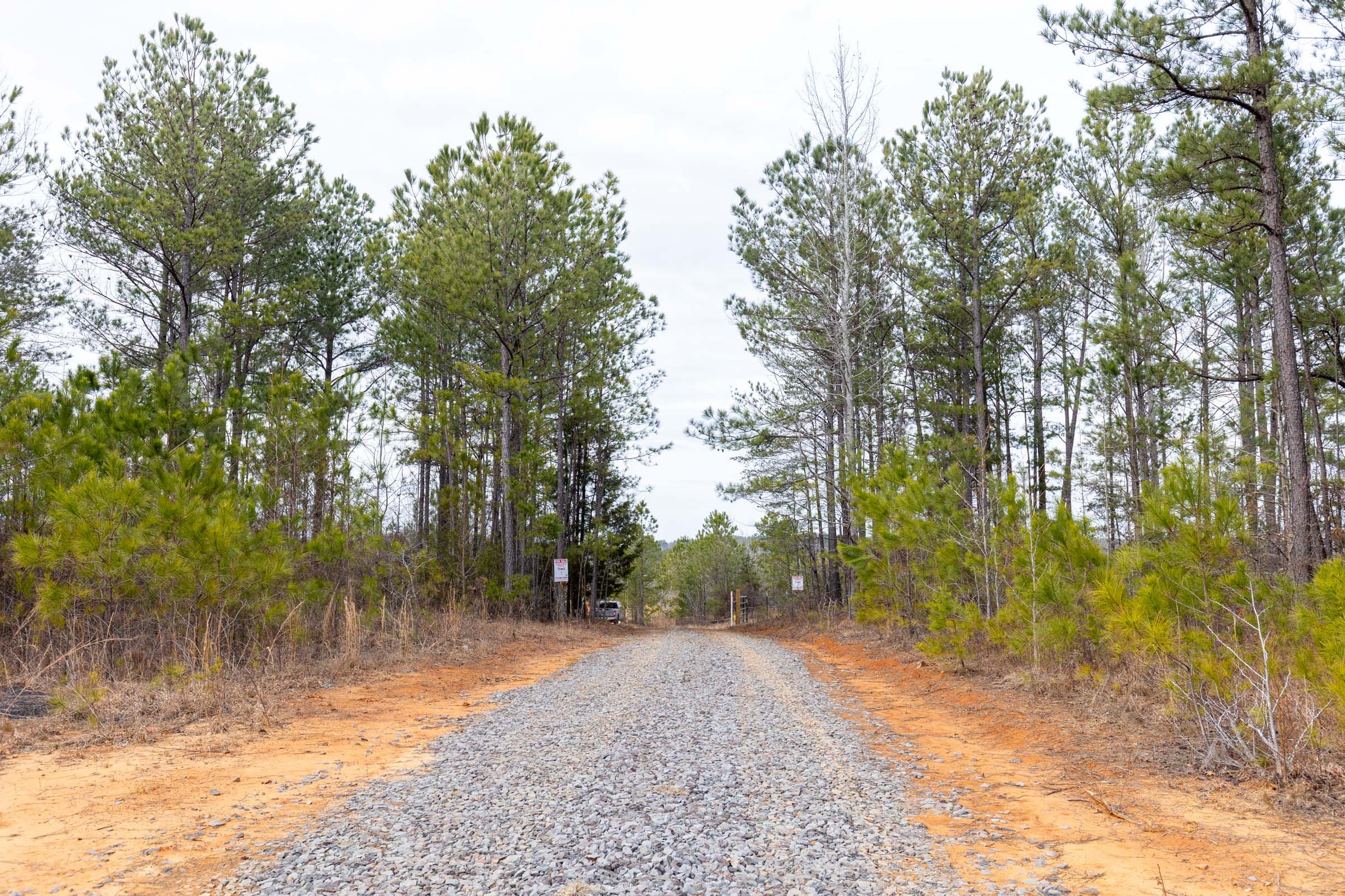 Baker Creek Tract 1 photo 6