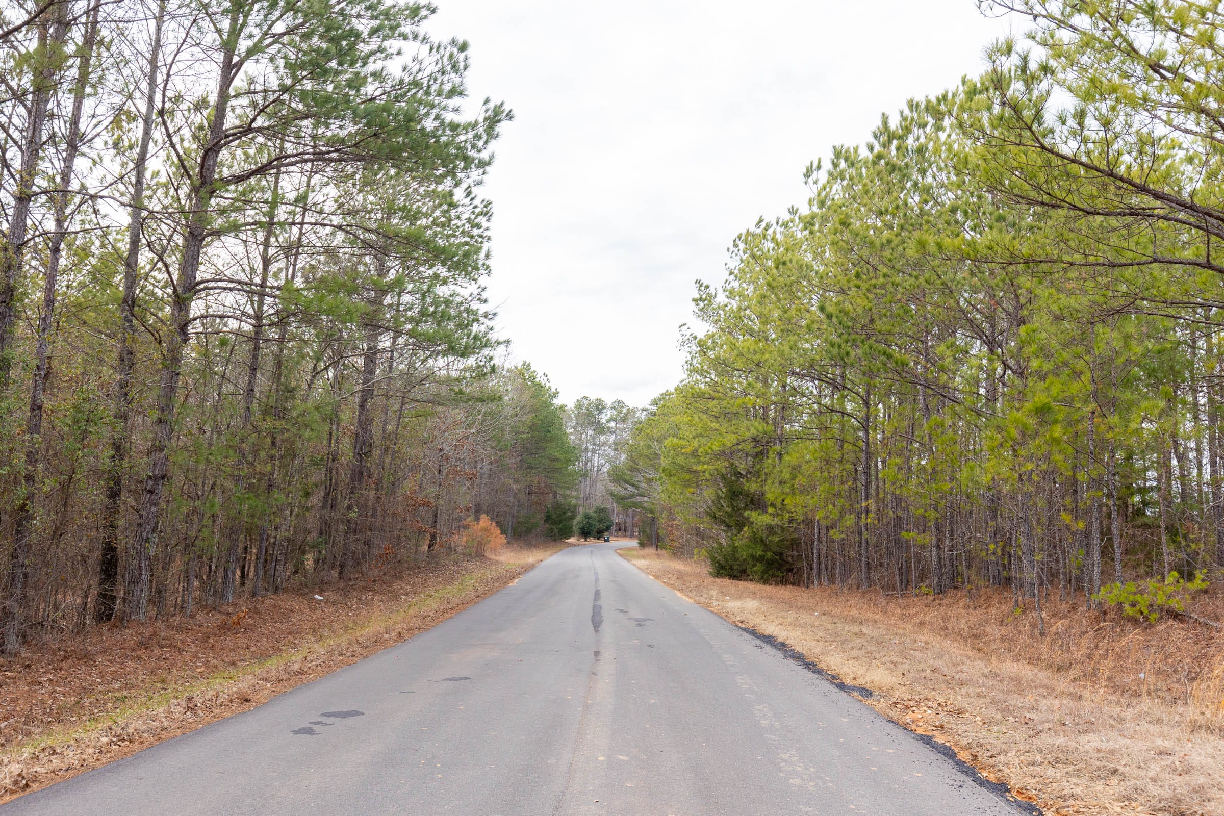 Baker Creek Tract 1 photo 1