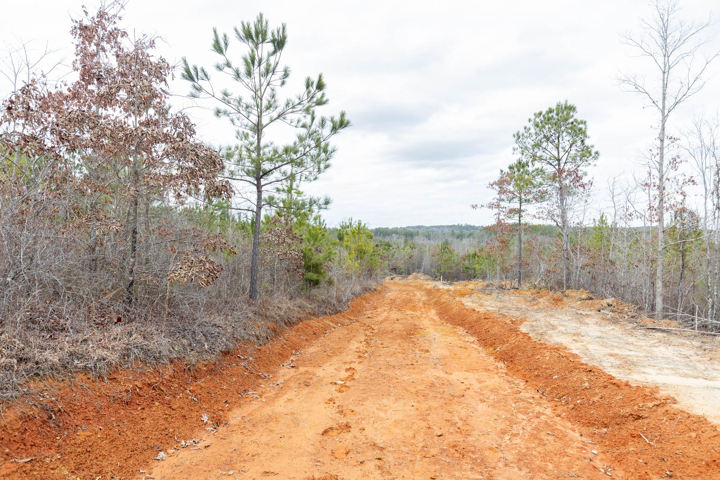 Baker Creek Tract 1 photo 16