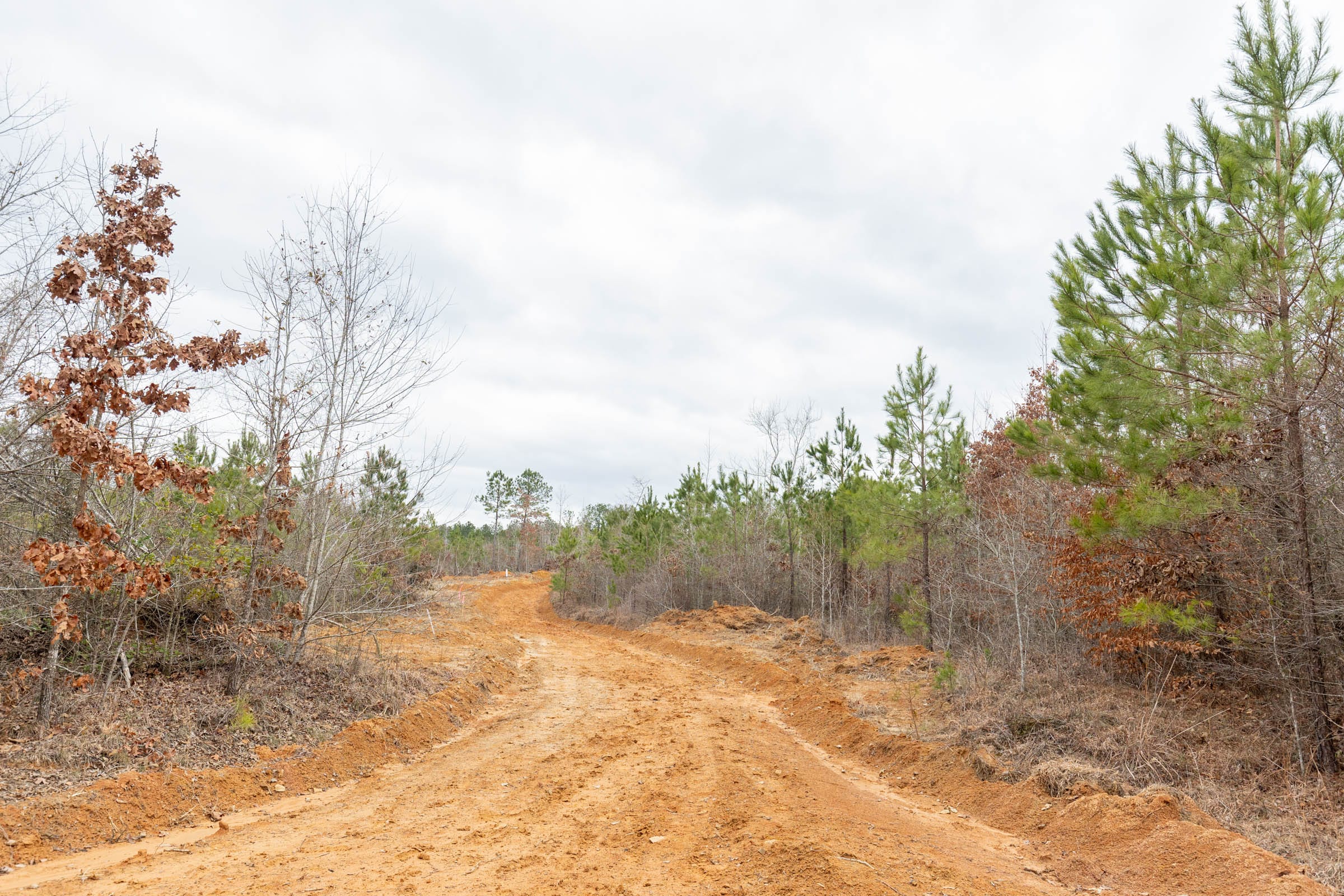 Baker Creek Tract 1 photo 9